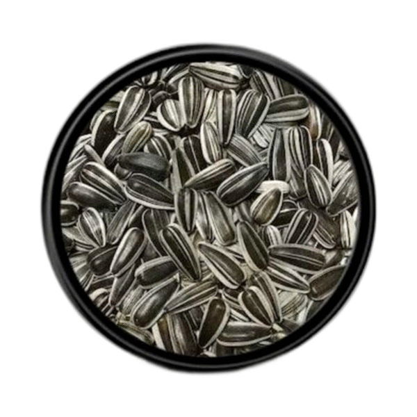 ÇEKİRDEK ÇİZGİLİ KUŞ YEMİ