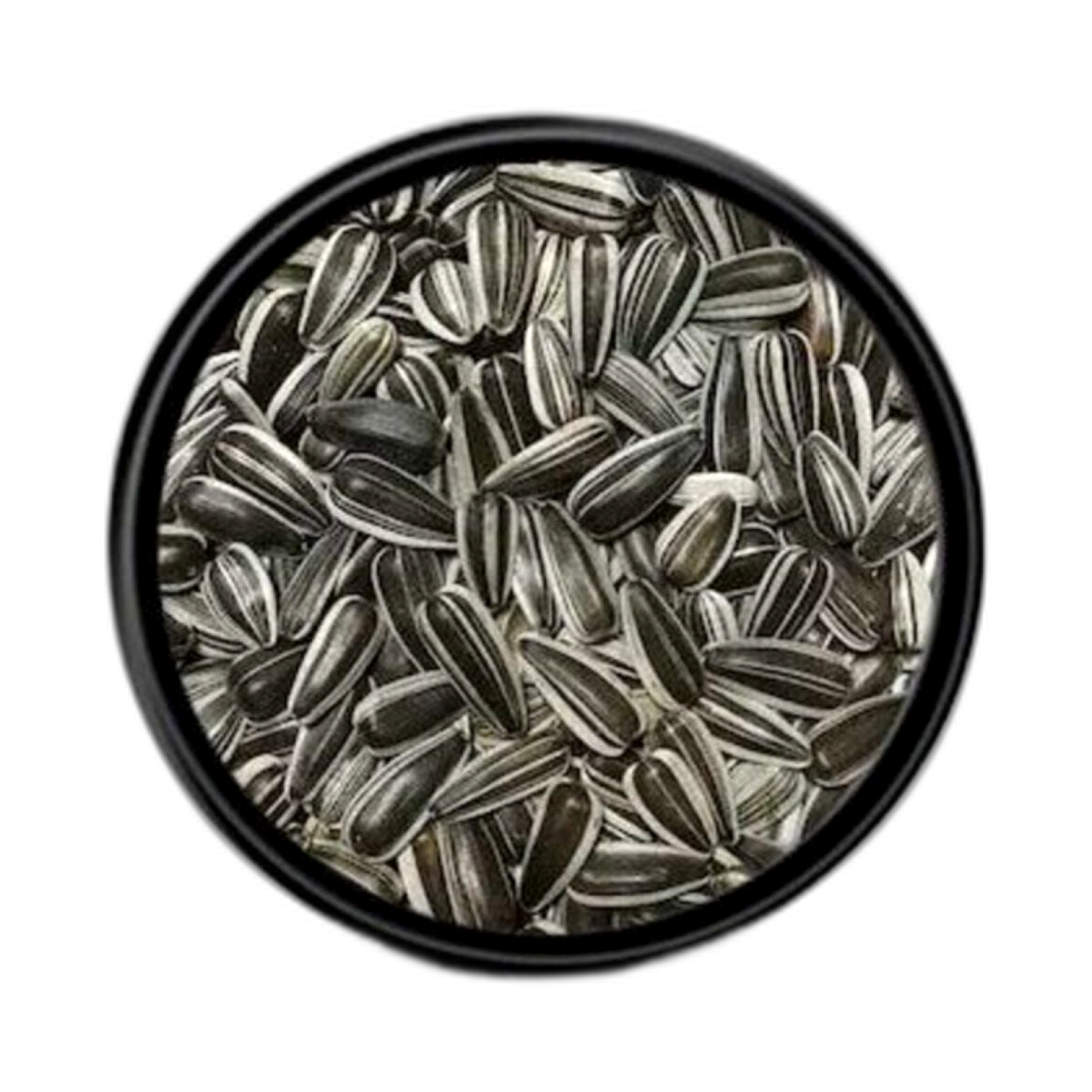 5398_1756234160_processed.png ÇEKİRDEK ÇİZGİLİ KUŞ YEMİ - Görsel 1