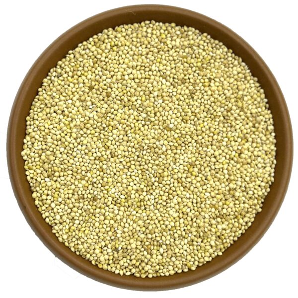 LÜX AKDARI (BEYAZ KUMDARI) KUŞ YEMİ 25 KG