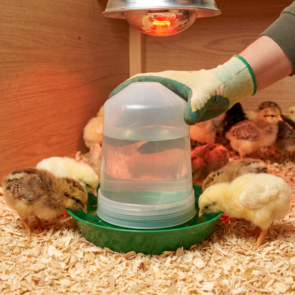 CİVCİV SULUĞU 0,75LT ŞEFFAF kullanım görseli