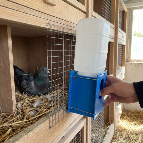 GÜVERCİN EŞHANELİK SULUK kullanım görseli