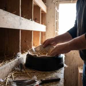 GÜVERCİN FOLLUK DELİKSİZ kullanım görseli