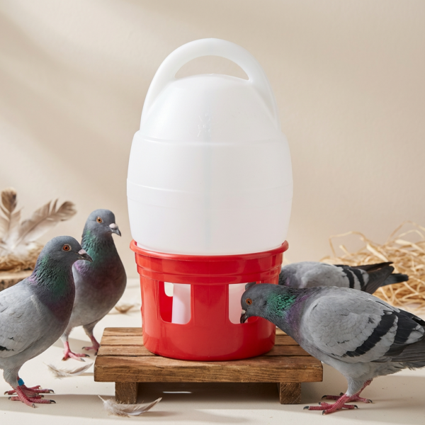 GÜVERCİN SULUĞU 6LT BEYAZ kullanım görseli