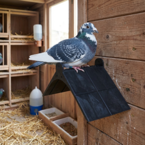 GÜVERCİN TÜNEK kullanım görseli