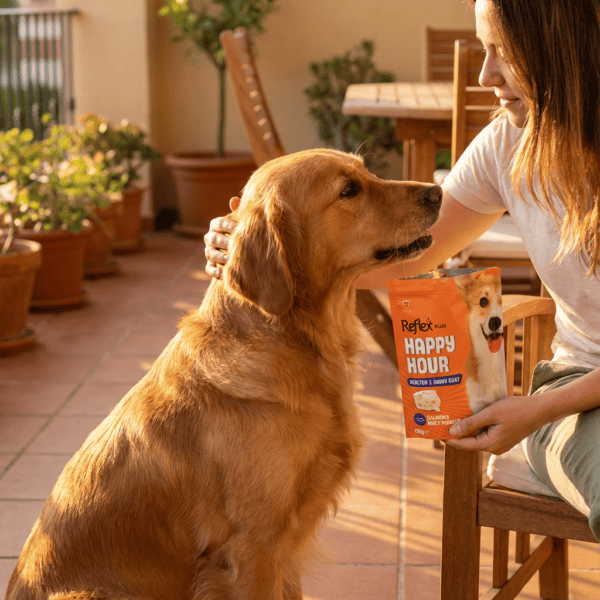 Happy Hour / Healthy & Shiny Coat - Sağlıklı ve Parlak Tüyler için Destekleyici Köpek Ödül Maması 60 Gr kullanım görseli