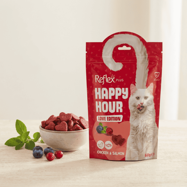 Happy Hour / Love Edition Kedi Ödül Maması 60 Gr kullanım görseli
