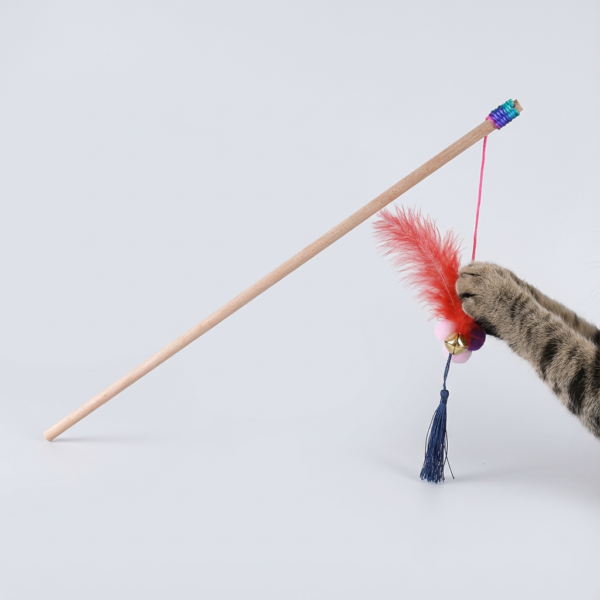 KEDİ OYUNCAK (OLTA) kullanım görseli