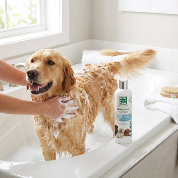 MENFORSAN TÜY RENGİNİ DESTEKLEYİCİ KÖPEK ŞAMPUANI kullanım görseli