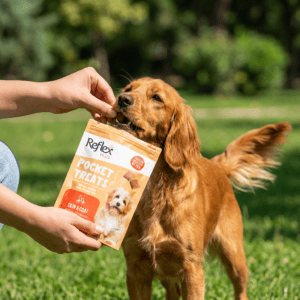 Pocket Treats / Deri ve Tüy Sağlığı İçin Köpek Ödül Maması kullanım görseli