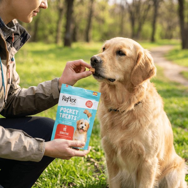 Pocket Treats / Hassas Köpekler İçin Köpek Ödül Maması kullanım görseli