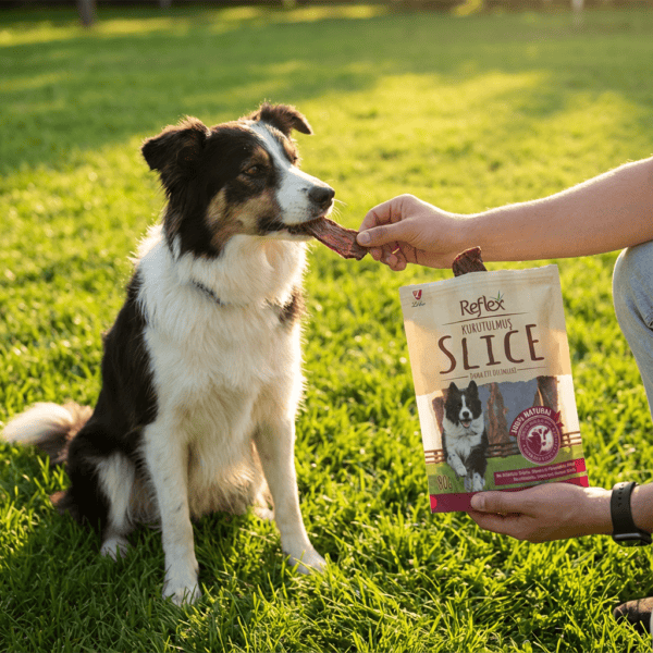 Reflex Kurutulmuş Dana Eti Dilimleri kullanım görseli