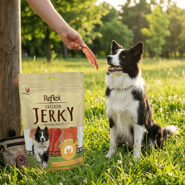 Reflex Kurutulmuş Tavuk Eti kullanım görseli