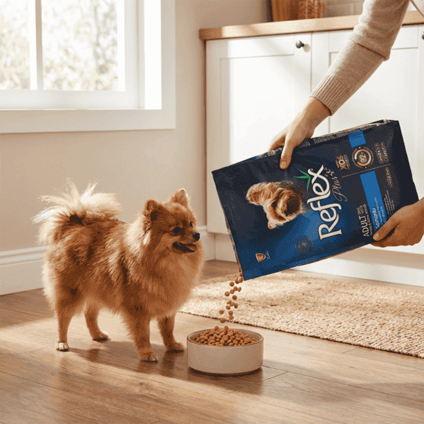 Reflex Plus Somonlu Mini ve Küçük Irk Yetişkin Köpek Maması 8 Kg kullanım görseli