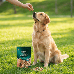 Reflex Semi - Moist Karışık Kemikler Ödül Maması 150 Gr kullanım görseli