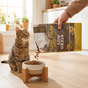 Spectrum Düşük Tahıllı Hindili Ördekli ve Kızılcıklı Yetişkin Kedi Maması 2 kg kullanım görseli