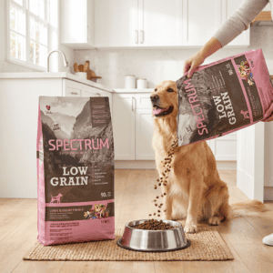 Spectrum Low Grain Kuzulu ve Yaban Mersinli Orta ve Büyük Irk Yetişkin Köpek Maması 12 kg kullanım görseli