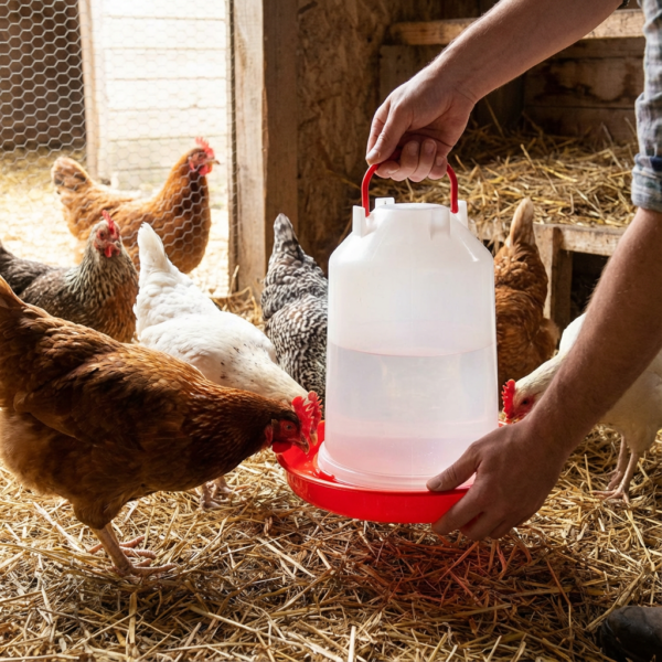 TAVUK SULUĞU 10LT ŞEFFAF kullanım görseli