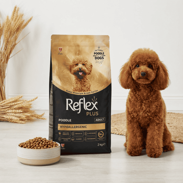 ​Reflex Plus Poodle Yetişkin Köpek Maması 2 Kg kullanım görseli